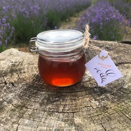 Tatil Evi Walnut 2 Bedroom, Barn Conversion Espas