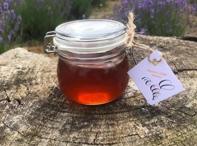 別荘 Walnut 2 Bedroom, Barn Conversion Espas